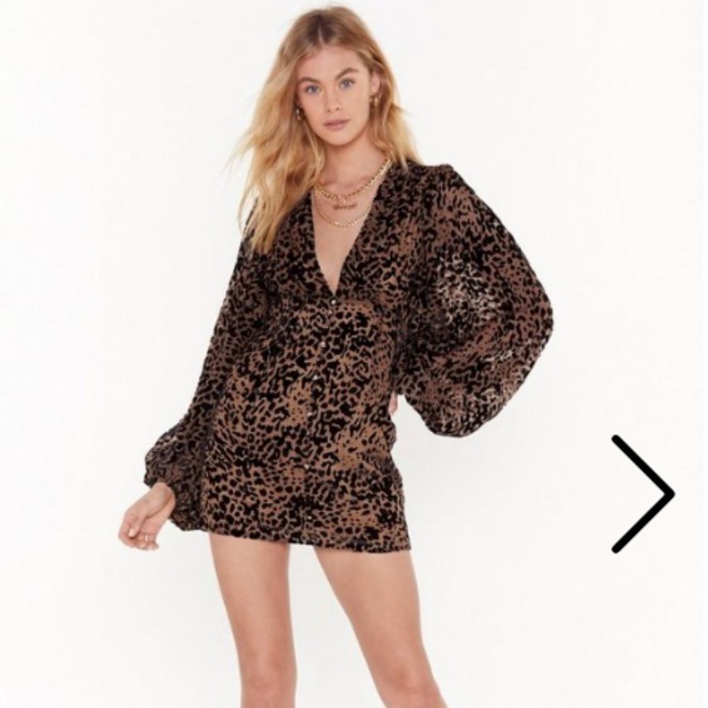 Nasty Gal: Leopard Mini Dress, SIZE - 6